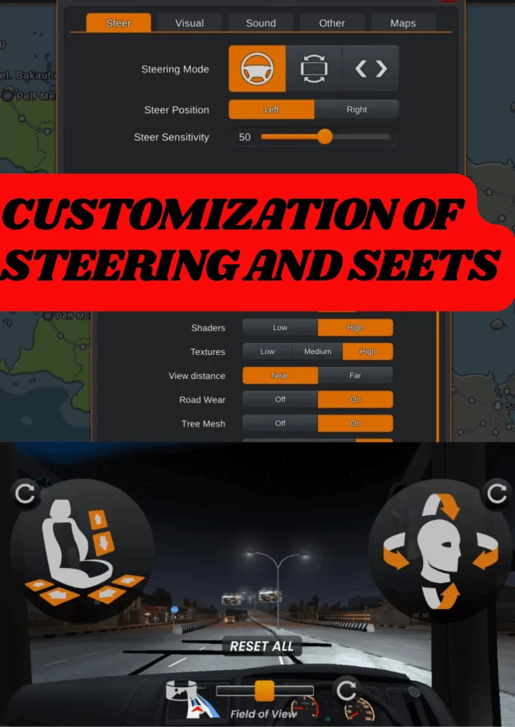 shows custom setting of game about steering and driving seat 